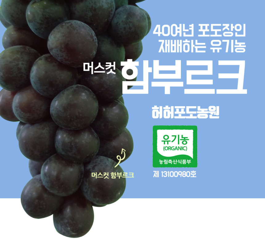 유기농 머스컷 함부르크 4kg