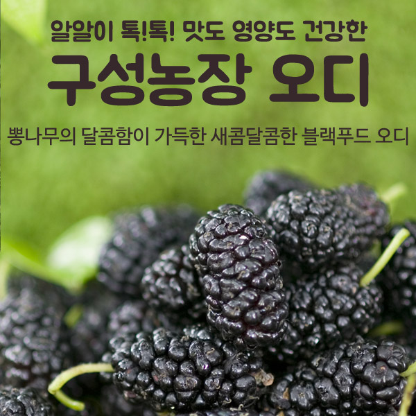 구성농장 오디