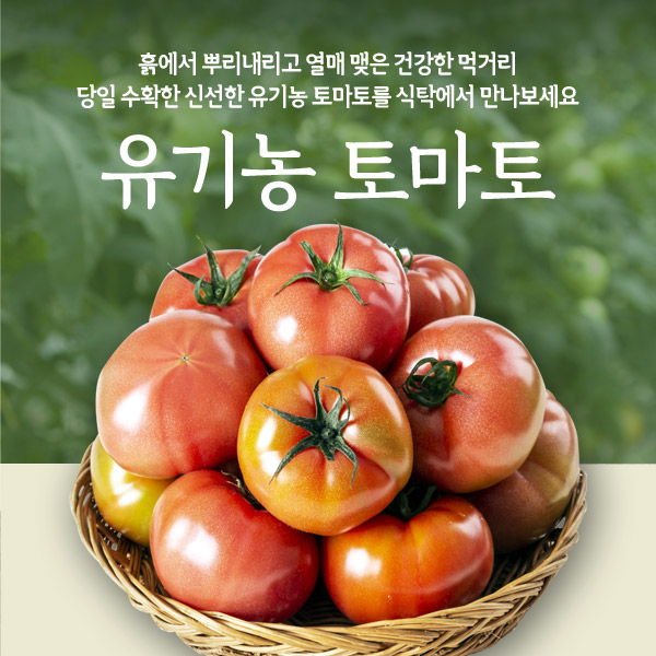 유기농 토마토